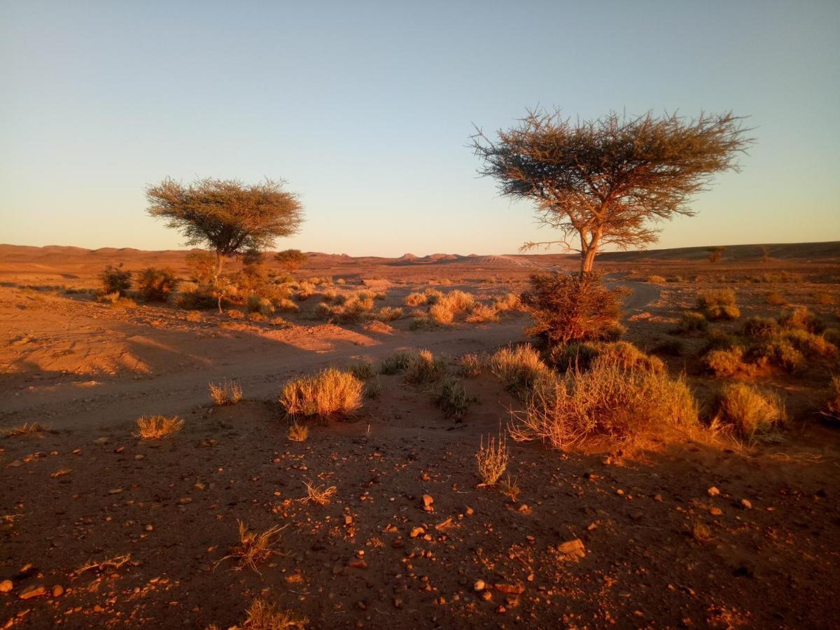 מלון זאגורה Sahara Peace Camp מראה חיצוני תמונה