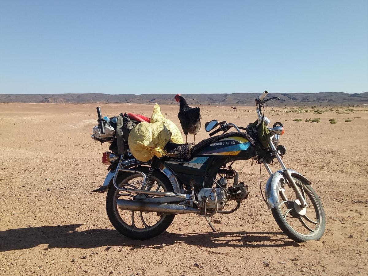 מלון זאגורה Sahara Peace Camp מראה חיצוני תמונה