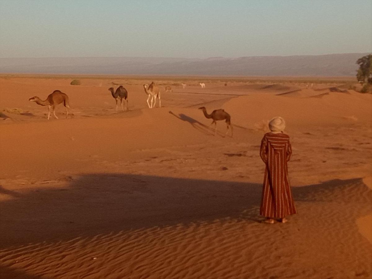 מלון זאגורה Sahara Peace Camp מראה חיצוני תמונה