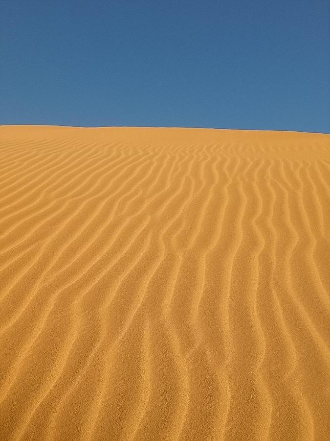 מלון זאגורה Sahara Peace Camp מראה חיצוני תמונה