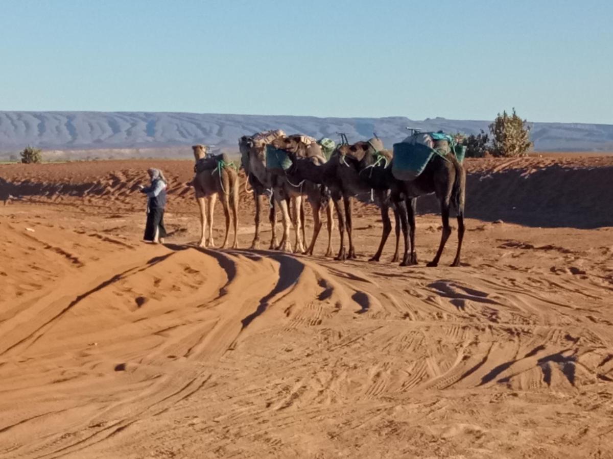 מלון זאגורה Sahara Peace Camp מראה חיצוני תמונה