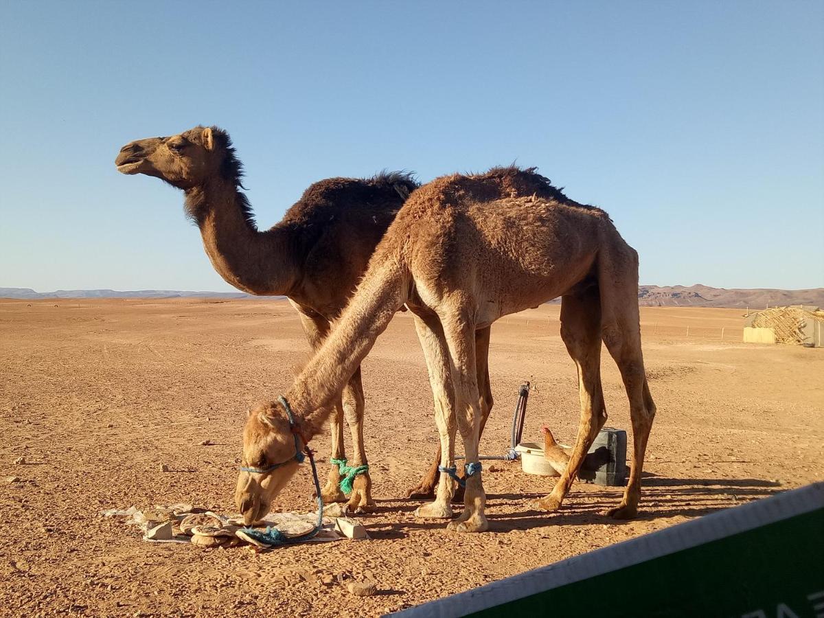 מלון זאגורה Sahara Peace Camp מראה חיצוני תמונה