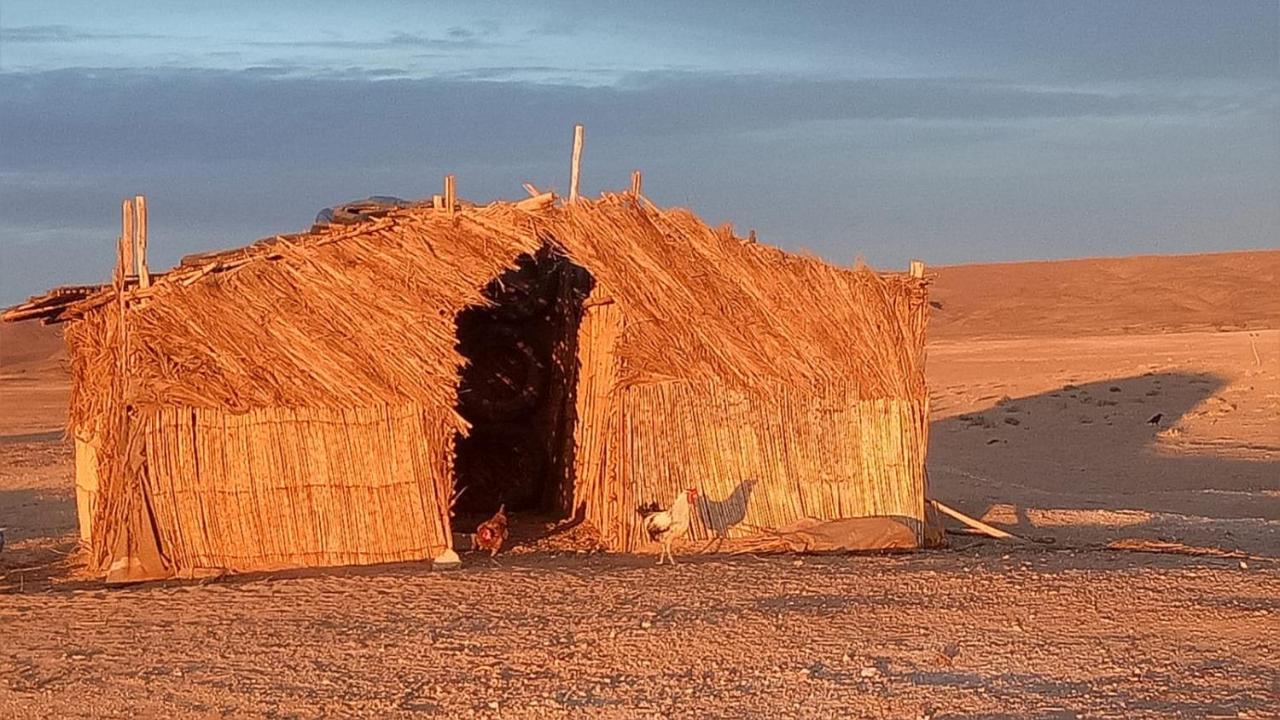 מלון זאגורה Sahara Peace Camp מראה חיצוני תמונה