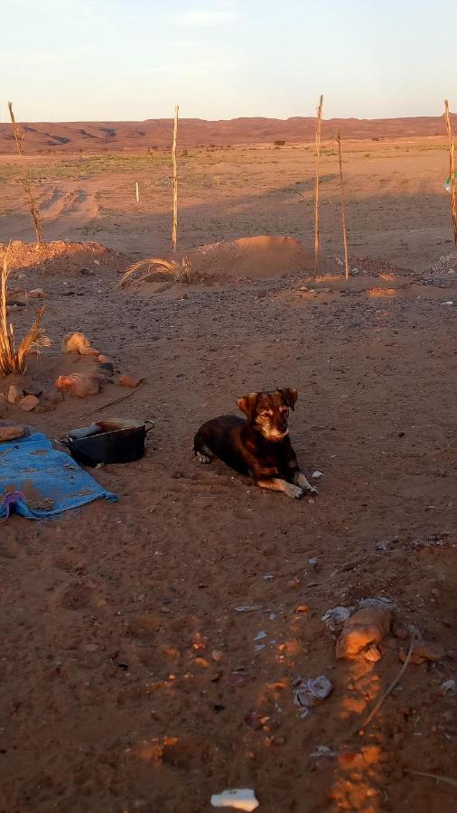 מלון זאגורה Sahara Peace Camp מראה חיצוני תמונה