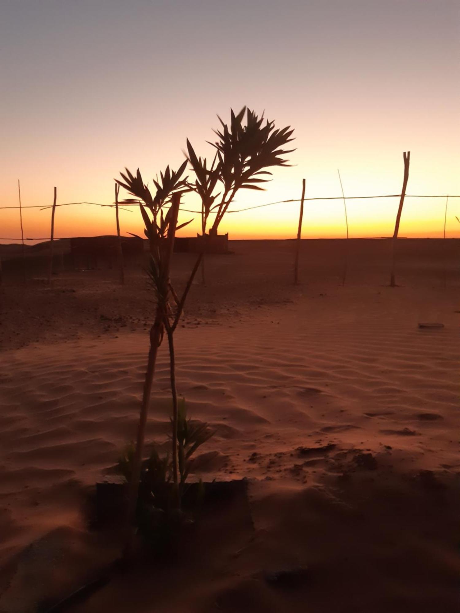 מלון זאגורה Sahara Peace Camp מראה חיצוני תמונה