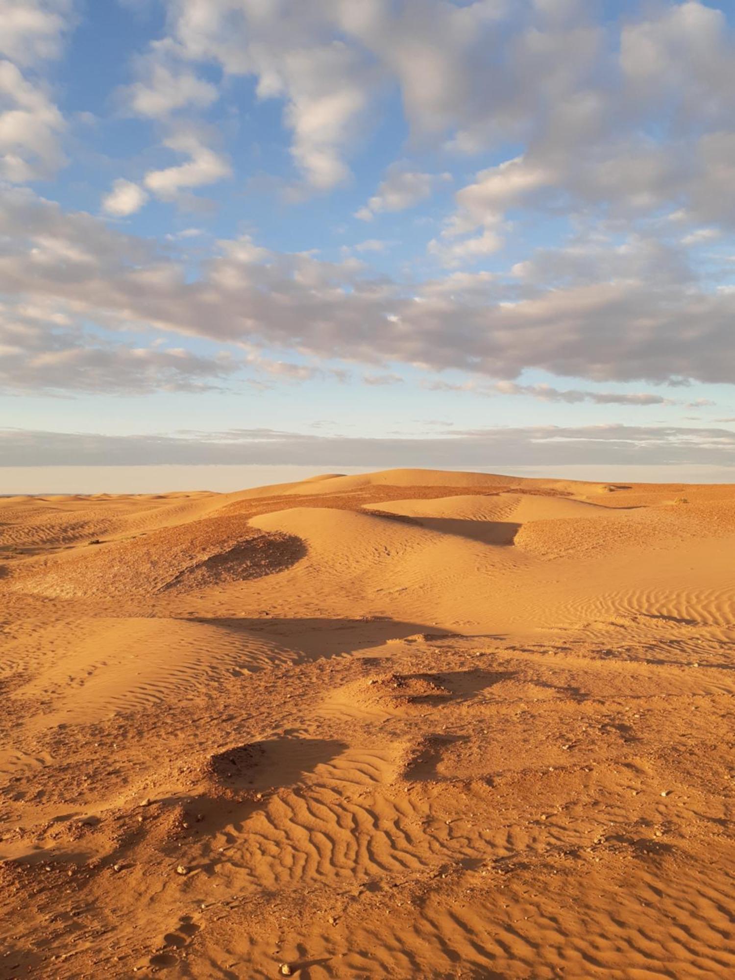 מלון זאגורה Sahara Peace Camp מראה חיצוני תמונה